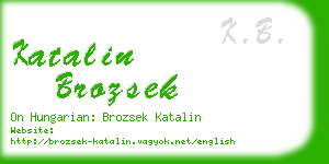 katalin brozsek business card